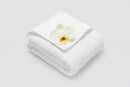 Telo bagno in spugna 100x180cm | 100% cotone | 20pz | 14,13€ cad.
